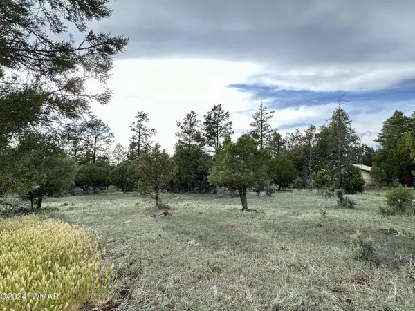 5029 Deer VLY, Lakeside, AZ 85929