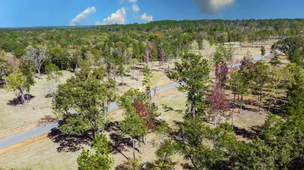 16077 Aniston Ln - (LOT 12), Flint, TX 75762