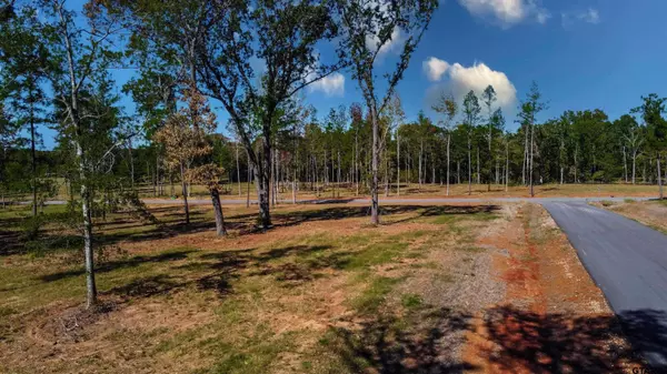 15589 Aniston Ln - (LOT 3), Flint, TX 75762