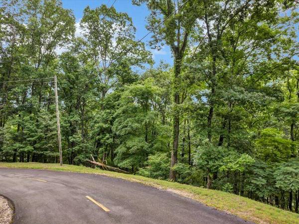 811 Wilderness DR, Mooresburg, TN 37811