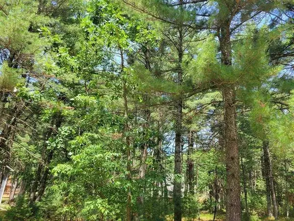 1682 S Aurora Lane, Nekoosa, WI 54457-0000