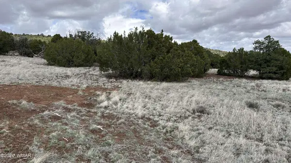 55 County Road 8025, Concho, AZ 85924