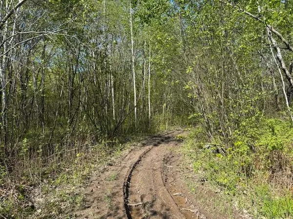 TBD 415th AVE, Hillman, MN 56338