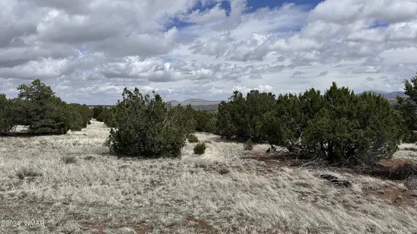 55 County Road 8025, Concho, AZ 85924