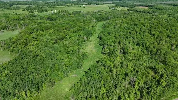 TBD 415th AVE, Hillman, MN 56338