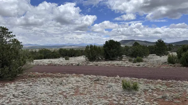 55 County Road 8025, Concho, AZ 85924