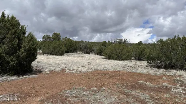 55 County Road 8025, Concho, AZ 85924