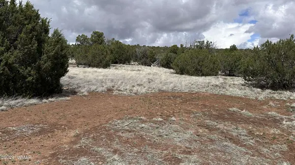 55 County Road 8025, Concho, AZ 85924