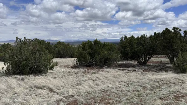 55 County Road 8025, Concho, AZ 85924