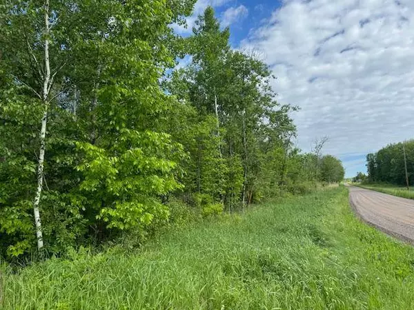 TBD 415th AVE, Hillman, MN 56338