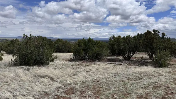 55 County Road 8025, Concho, AZ 85924