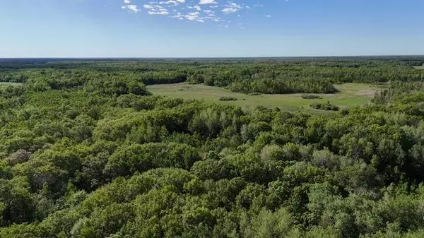 TBD 415th AVE, Hillman, MN 56338