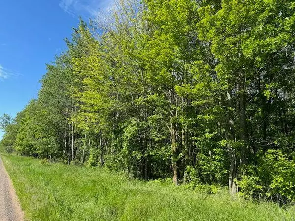 TBD 415th AVE, Hillman, MN 56338