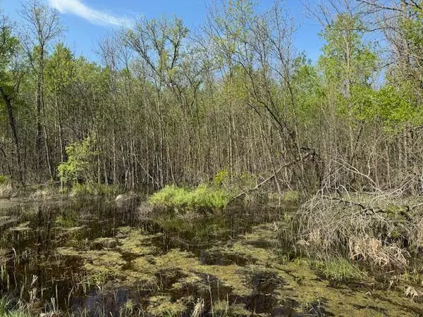 TBD 415th AVE, Hillman, MN 56338