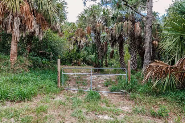 3052 SE NOTTS DAIRY ST, Arcadia, FL 34266