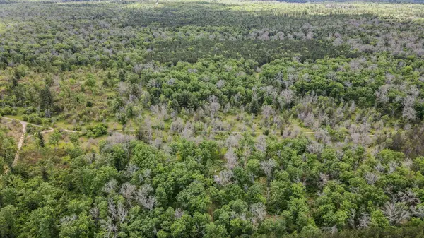 22950 Van Road, Wellston, MI 49689