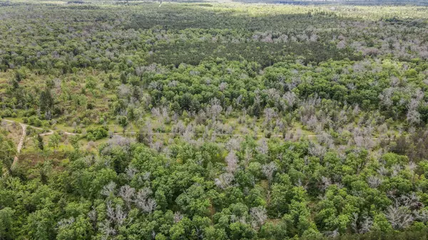 22950 Van Road, Wellston, MI 49689