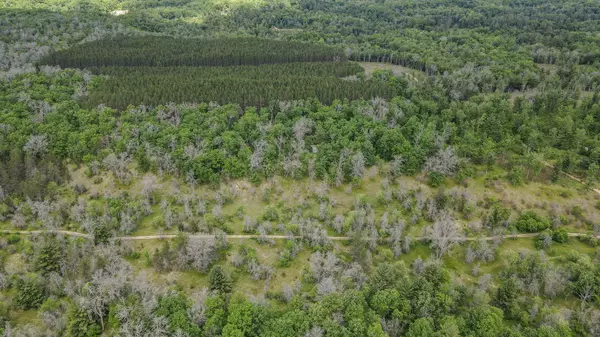 22950 Van Road, Wellston, MI 49689