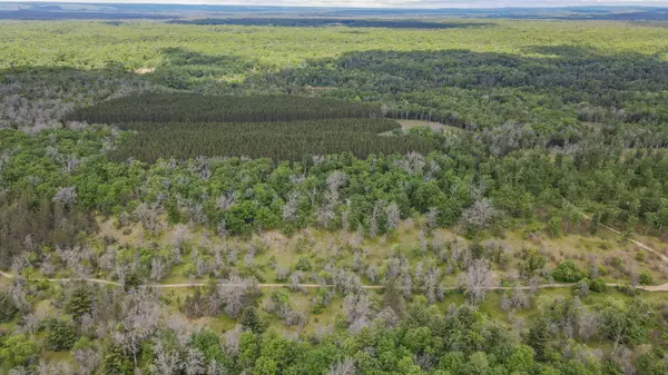 22950 Van Road, Wellston, MI 49689