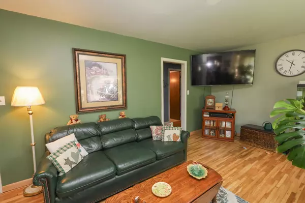 705 Ford AVE, Spring Valley, MN 55975