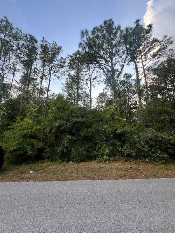 0 DREW ST, Brooksville, FL 34604