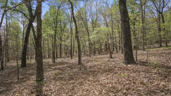 000 State Route E, West Plains, MO 65775