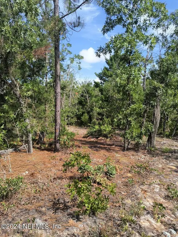 6270 EMORY AVE, Keystone Heights, FL 32656