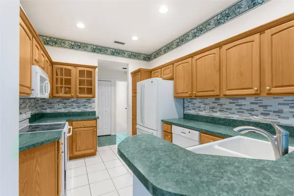 1776 WOOD HAVEN ST, Tarpon Springs, FL 34689