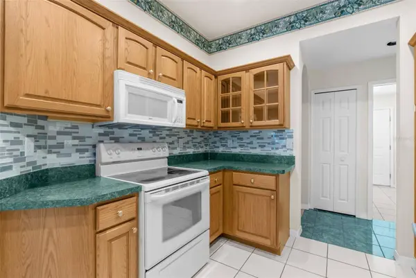 1776 WOOD HAVEN ST, Tarpon Springs, FL 34689