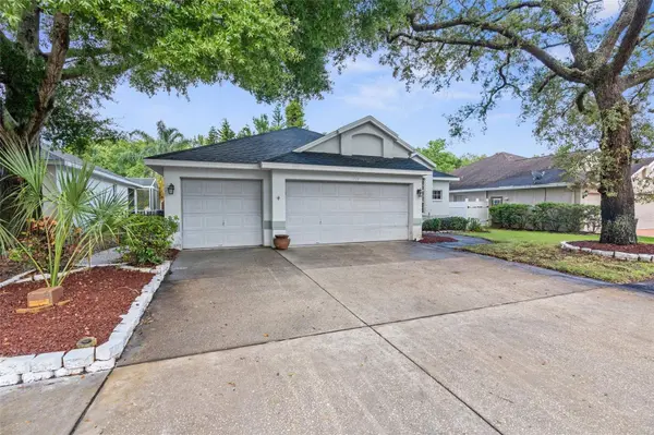 1776 WOOD HAVEN ST, Tarpon Springs, FL 34689