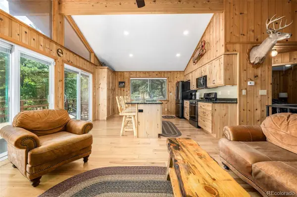 255 Elk LN, Woodland Park, CO 80863