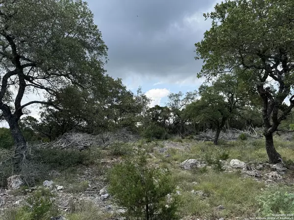 2838 Mountain Creek Rd, Pipe Creek, TX 78063