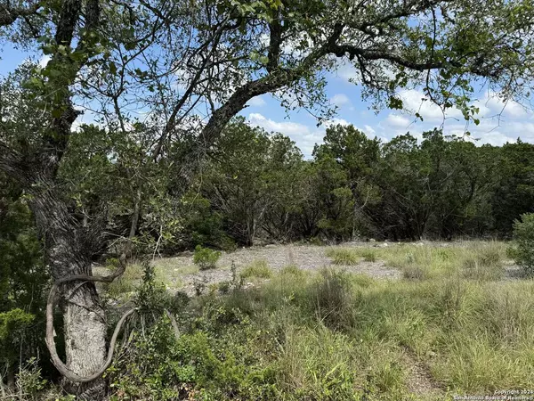 2838 Mountain Creek Rd, Pipe Creek, TX 78063
