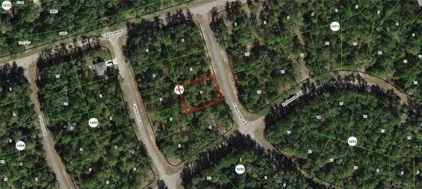 742 E Weldon LN, Dunnellon, FL 34434