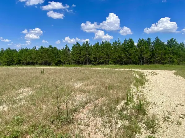 97 County Rd 763, Sheridan, AR 72150