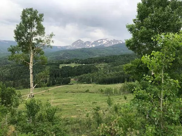 TBD Little Cone Ranch RD, Placerville, CO 81430