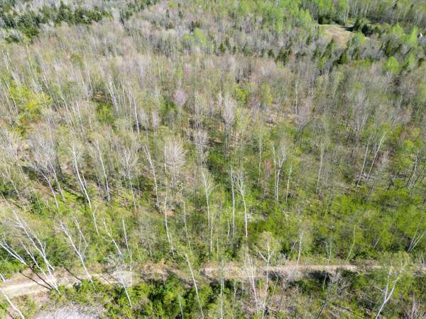 Lot 14B Kelliher RD, Newry, ME 04261