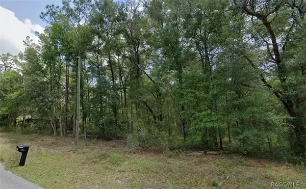 11267 N Roble PT, Citrus Springs, FL 34434