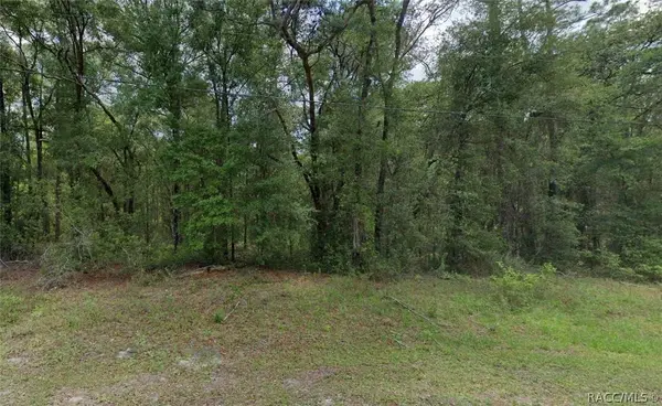 11267 N Roble PT, Citrus Springs, FL 34434