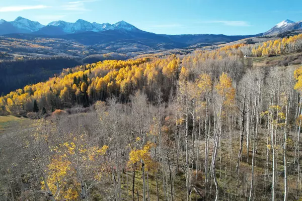 TBD Little Cone Ranch RD, Placerville, CO 81430