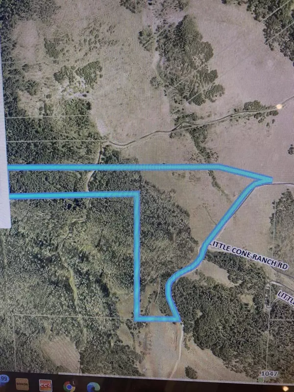 TBD Little Cone Ranch RD, Placerville, CO 81430