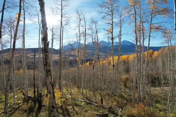 TBD Little Cone Ranch RD, Placerville, CO 81430