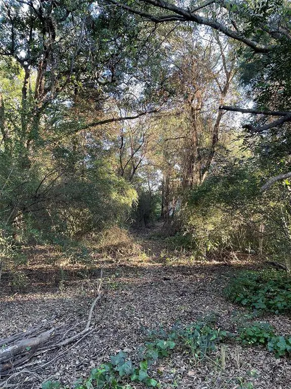 123 Still Water Street, Gun Barrel City, TX 75156