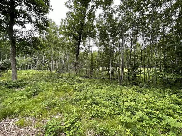 6150 Pike Lake Road, Webster, WI 54893