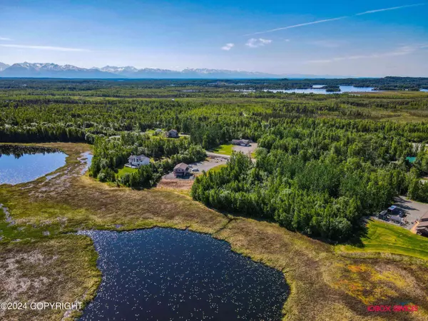 15675 W Loon Cove AVE, Big Lake, AK 99652