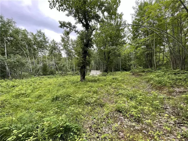 6150 Pike Lake Road, Webster, WI 54893