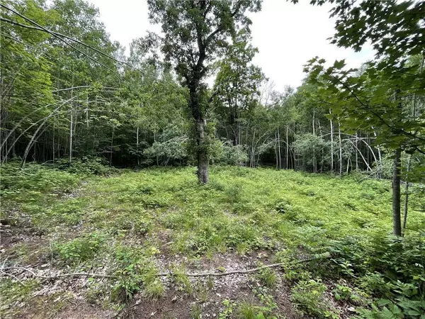 6150 Pike Lake Road, Webster, WI 54893