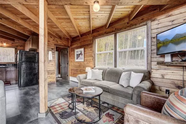 842 Cr-4, Alma, CO 80440