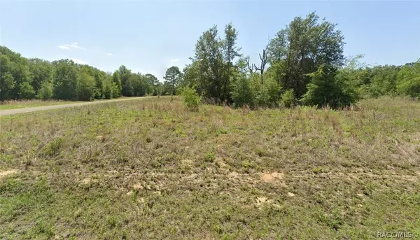 8877 N Elida AVE, Dunnellon, FL 34434