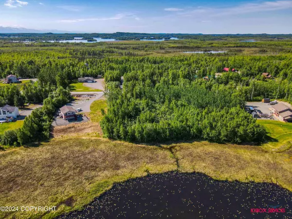 15675 W Loon Cove AVE, Big Lake, AK 99652